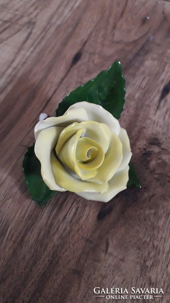 Herendi sárga rózsa