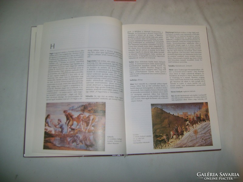 Ábel-Zsuzsanna: Képes bibliai lexikon - 1981