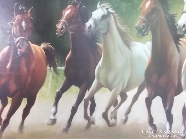 Vágtázó lovak-ló művésznyomat vásznon, kerettel nagyméret 58x77 cm