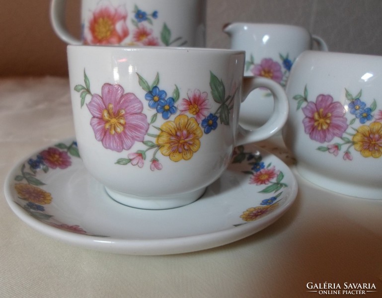 Great Plain porcelain floral coffee set, 1 person (spouts, sugar bowl, cup with saucer)