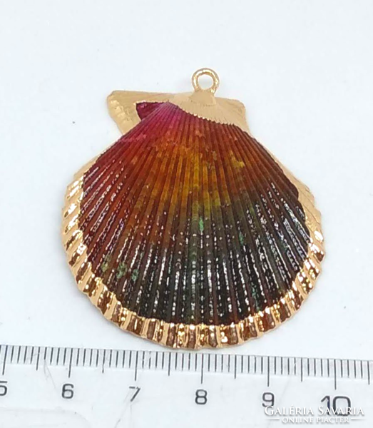 Comb shell pendant with gilded border