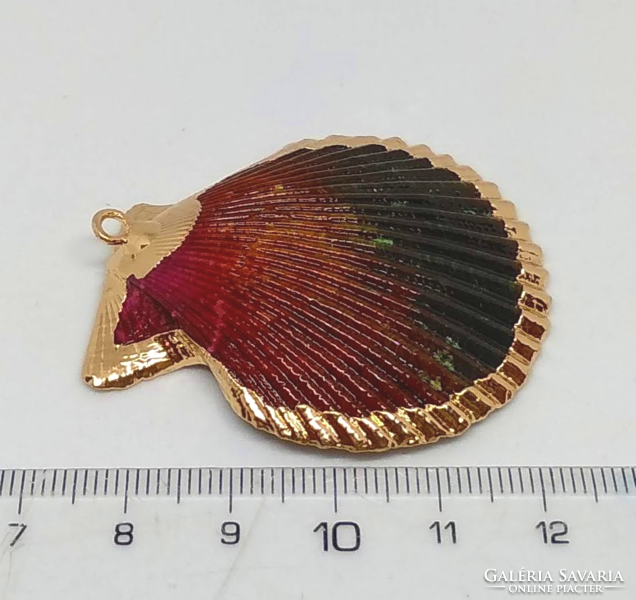 Comb shell pendant with gilded border