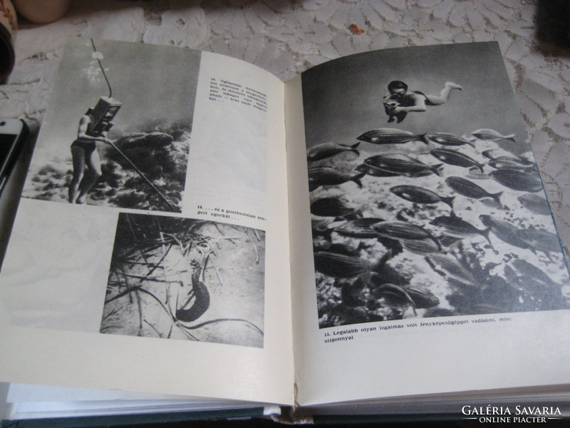 Hans haas: hunting in the deep sea. . 1965. 265 Page
