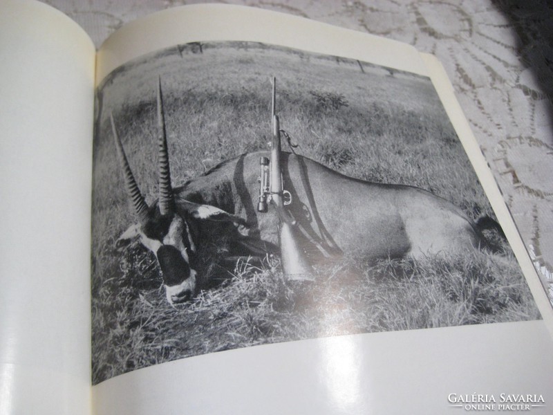 Dénes István : Így láttam Afrikát  1961 .   335 oldalon
