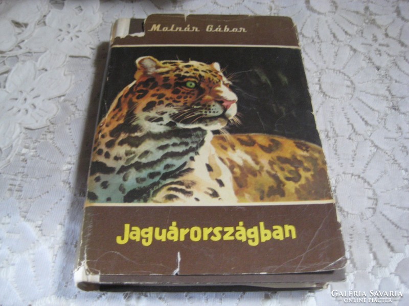 Gábor Molnár: jaguar country thought published in 1968