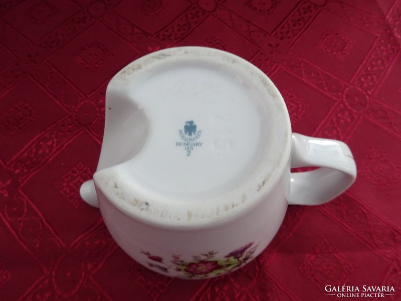 Raven house porcelain coffee maker spout. Serial number: 215. Cover is missing. He has!