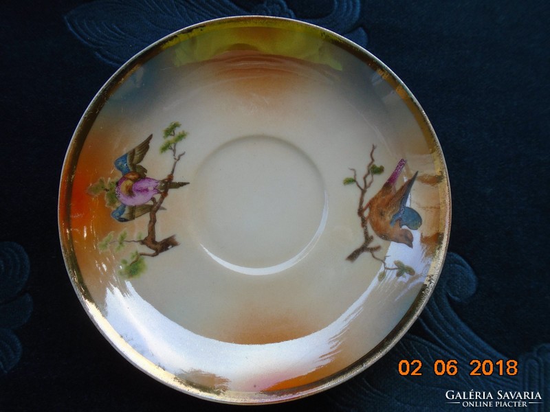 1921 Union k (klosterle) hand painted bird with pearl glazed coffee cup with saucer