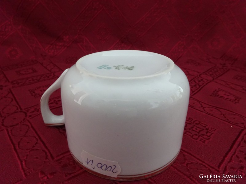 Ct alt. Wasser germany german porcelain teacup, serial number 6825/55. He has!