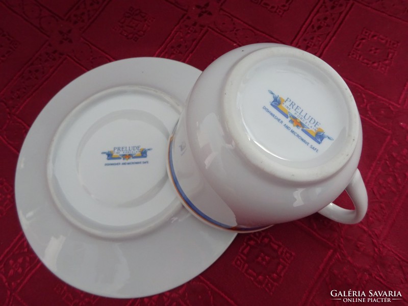 Prelude fine porcelain - Italian quality teacup + placemat. He has!