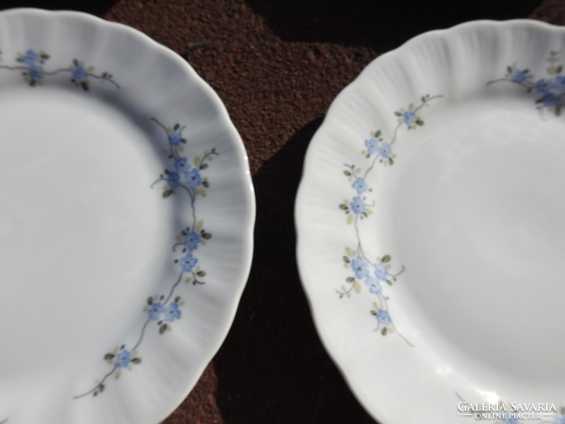 Winterling cookie small blue flower pattern plate set