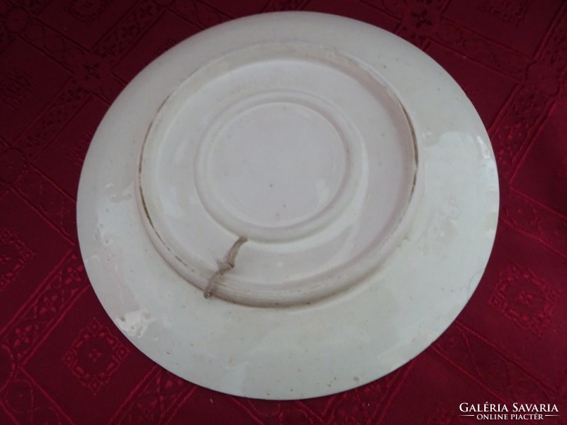 German porcelain, antique wall decoration plate, diameter 22.3 cm. Tiny bounce on the edge. He has!