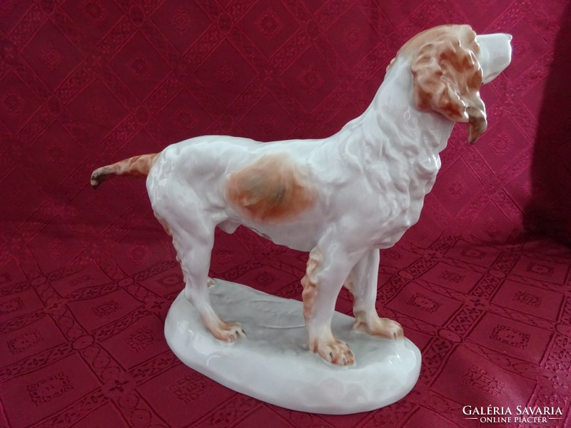 Herendi porcelán kutya, hossza 31 cm. Vanneki!