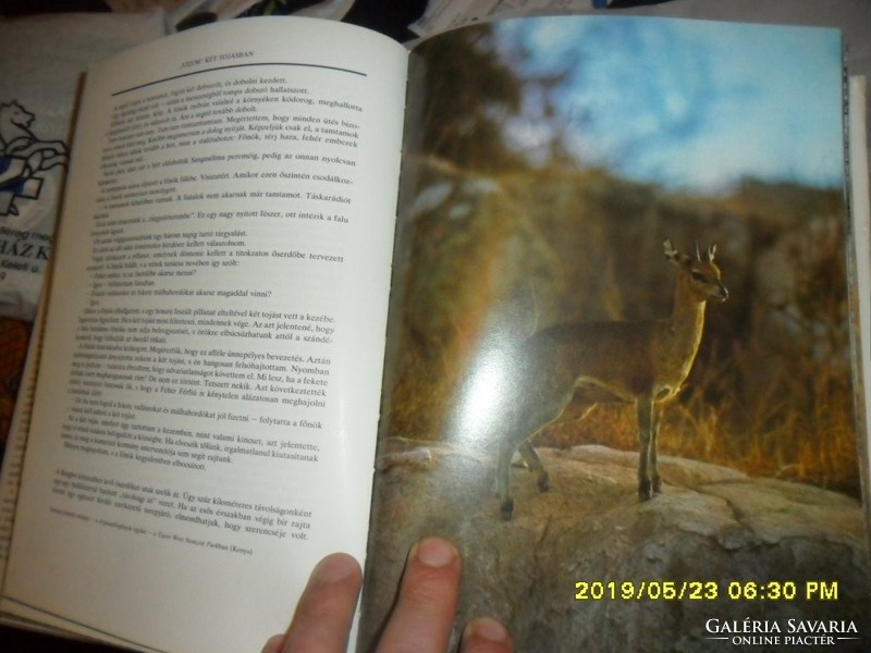 Szafári a Kilimandzsáró alatt vadász- útleiró- elbeszélő  könyv