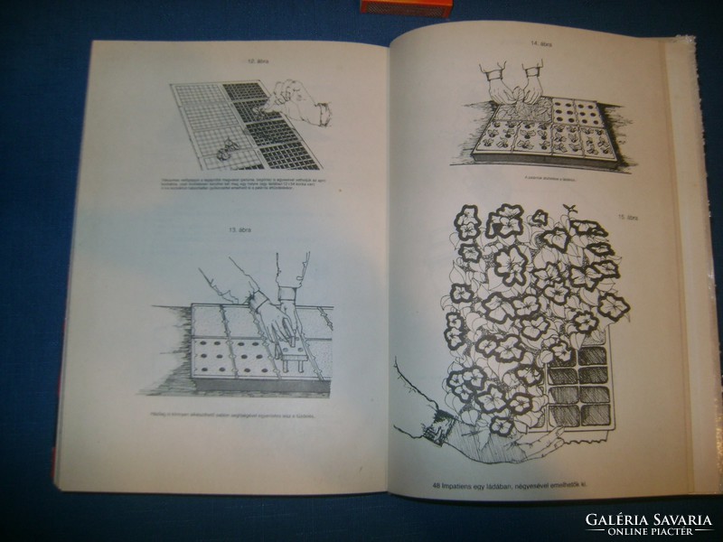Pap István: Virágkertészet - 1985 - retro könyv