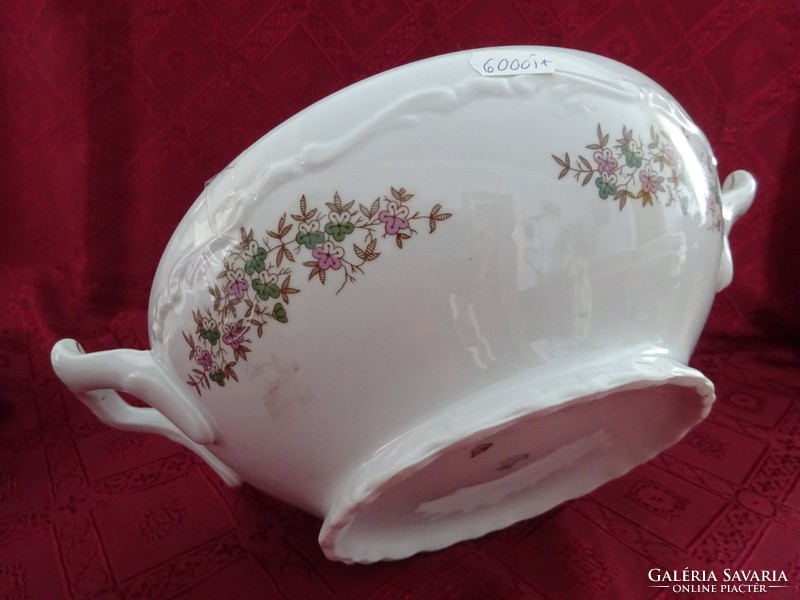 Gebrüder benedikt rare antique Czechoslovak porcelain soup bowl. He has!