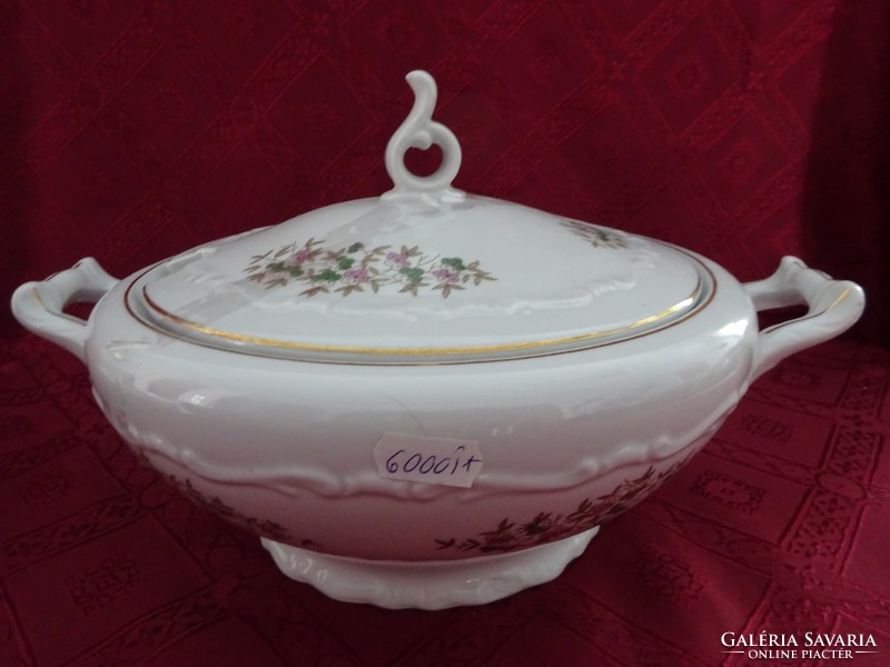 Gebrüder benedikt rare antique Czechoslovak porcelain soup bowl. He has!