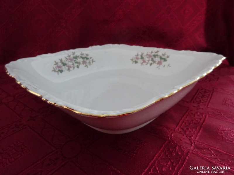 Gebrüder benedikt rare antique Czechoslovak porcelain garnished bowl. He has!