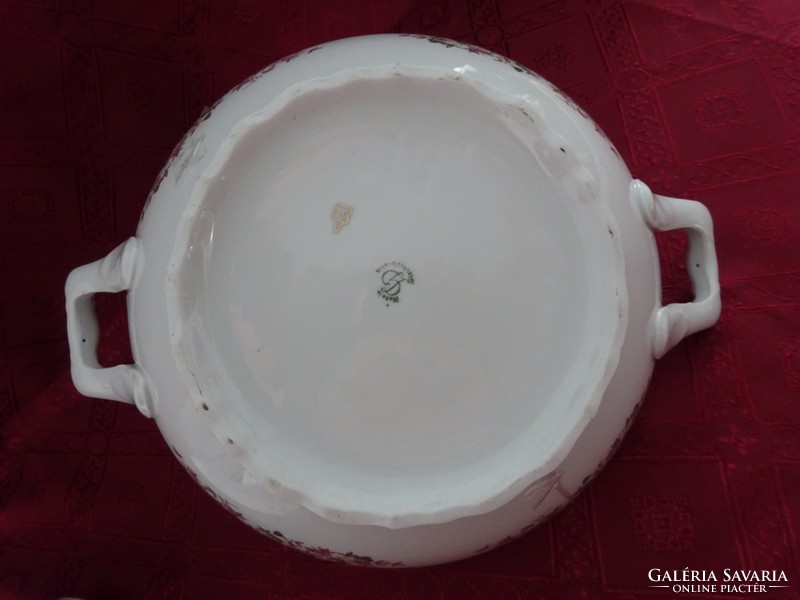GEBRÜDER BENEDIKT ritka antik csehszlovák porcelán leveses tál. Vanneki!