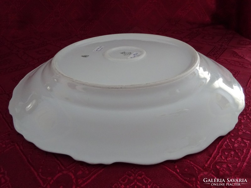 Gebrüder benedikt rare antique Czechoslovakian porcelain round meat bowl, diameter 29 cm. He has!