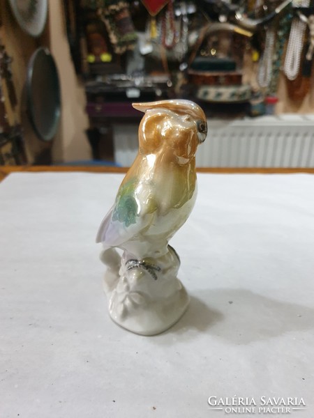 Német porcelán madár 