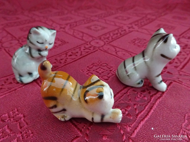 Porcelain kitten, different shapes. He has!