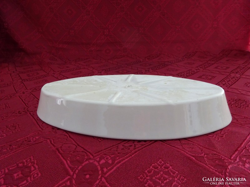 Drasche porcelán hőálló ovális tál. Mérete: 22,5 x 12 x 3 cm. Vanneki! Jókai