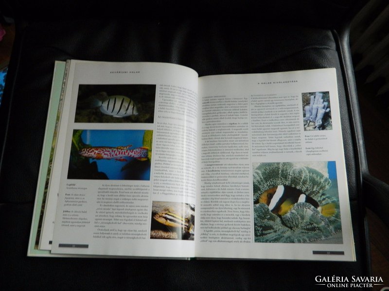 Aquarium fish - manual