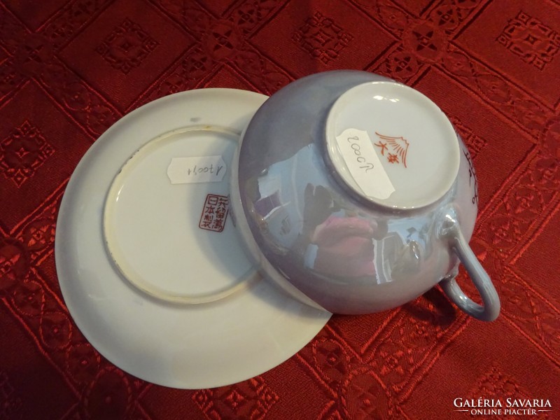 Japán porcelán teáscsésze + alátét, világoskék alap. Vanneki!