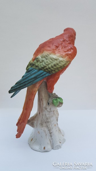  Höchst antik német porcelán papagáj madárfigura