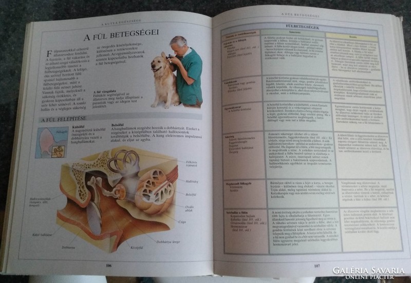 Fogle: the big handbook of dog keeping, negotiable!