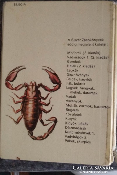 Búvár zsebkönyvek: pókok, skorpiók, alkudható!