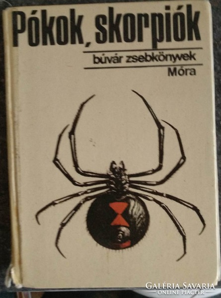 Búvár zsebkönyvek: pókok, skorpiók, alkudható!
