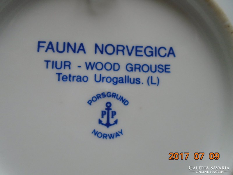  Fauna Norvegica Tetrao Urogallus (Siketfajdkakas) falitál 13 cm