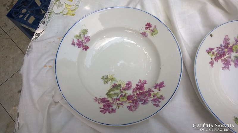 Violet mot. Plate of mice in Czechoslovakia with beautiful old pieces