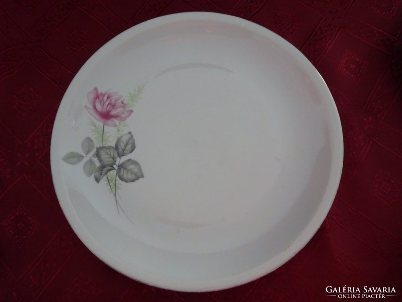 Plain porcelain rose patterned flat plate. He has!