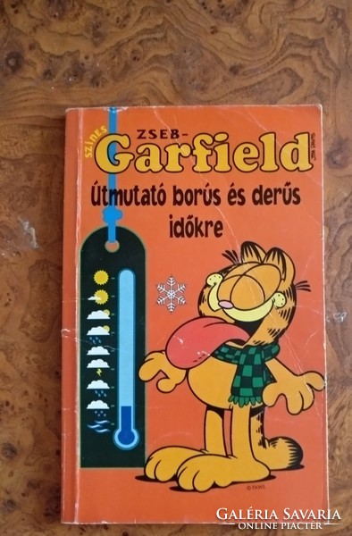 Garfield, a guide to dark and bright times, negotiable!