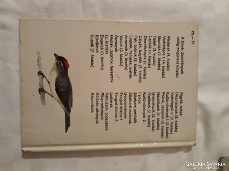 Diver's pocket book, decorative birds