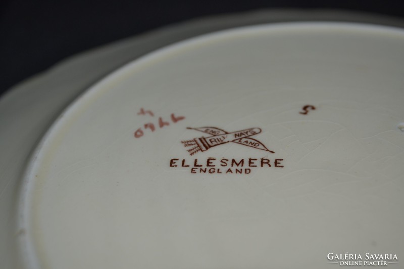 Antik Ridgway Ellesmere paradicsom madaras fajansz tányér
