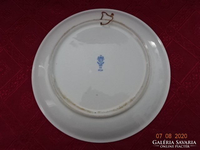Lowland porcelain blue folk pattern wall plate. Its diameter is 23.5 cm. He has!