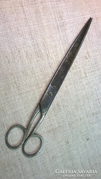 Old wrought iron cutting scissors. Cleaned