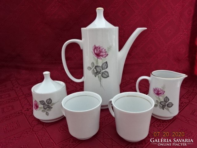 Lowland porcelain coffee set for two people with a rose pattern.