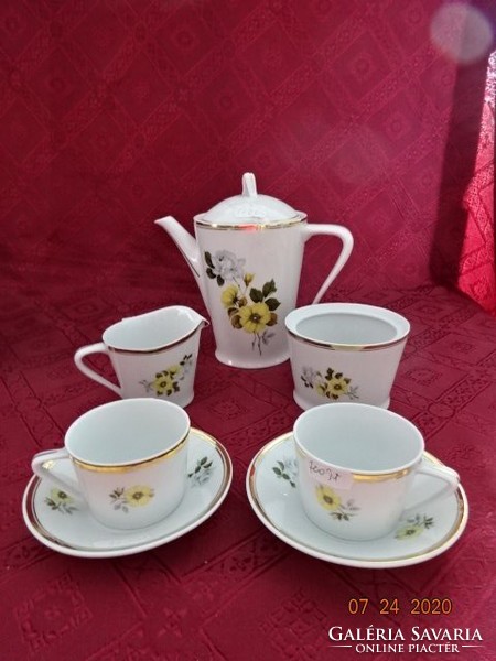 Raven house porcelain, coffee set for five people, yellow floral. He has!