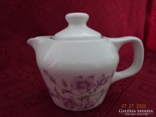 Hollóháza porcelain coffee maker spout with purple flowers. He has!