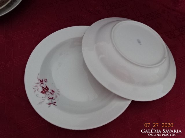 Zsolnay porcelain deep plate with burgundy floral pattern. He has!