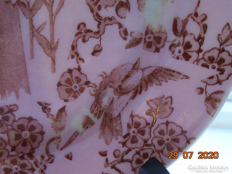 Aranykontúrozott,antik,egyedi festéssel,madár rovar mintás rózsaszín tányér