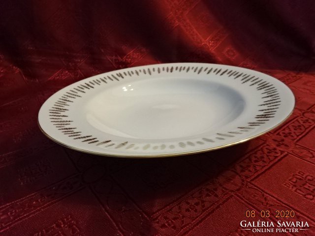 Czechoslovakian quality porcelain deep plate with gold decoration. He has!