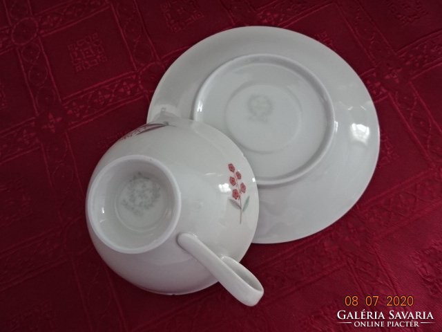 Bavaria német porcelán teáscsésze + alátét. Vanneki!