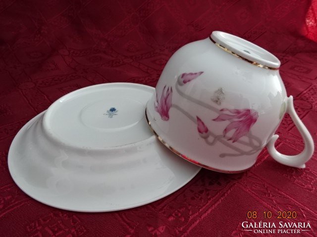 Ravenclaw porcelain teacup + saucer, with pink flower. He has!
