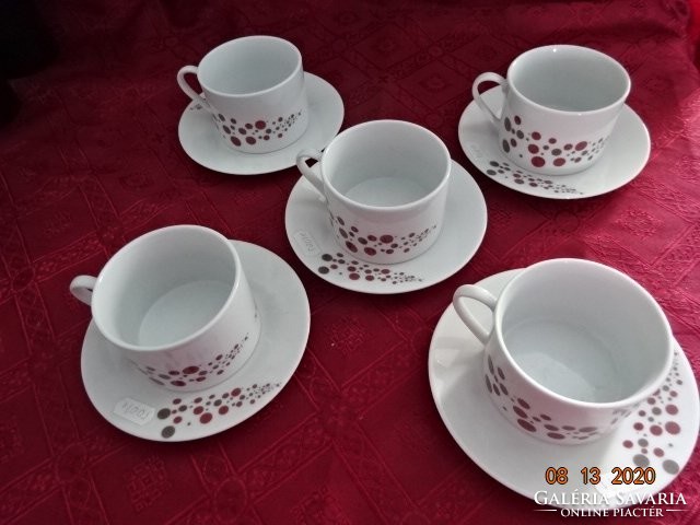 German porcelain brown/grey polka dot tea cup + saucer. He has!