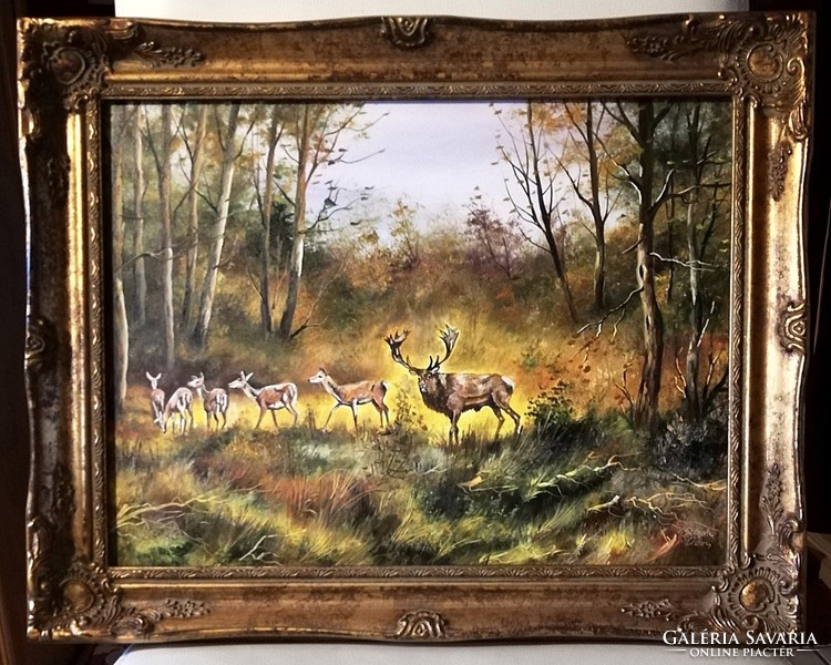 Stopka Anna - deer (oil, 30 x 40, beautiful, in a new blondel frame)